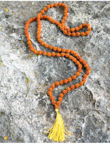 Japa Mala Rudraksha Samen 2