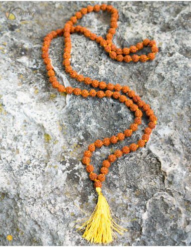 Japa Mala Rudraksha Samen