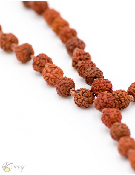 mala-tibetano-semillas-rudraksha-original