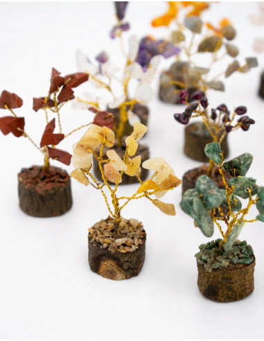 Scatola con 12 alberi di pietra