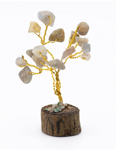 Albero della protezione