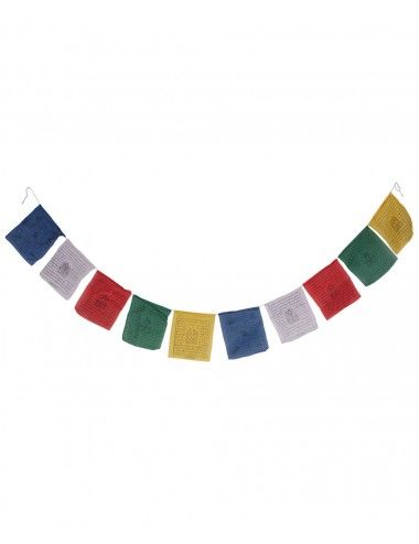 bandiera-etnica-colori-cavallo-indù