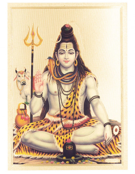 Adesivo Deus Shiva